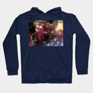 red Malus 'Radiant'  crab apple blossoms #2 Hoodie